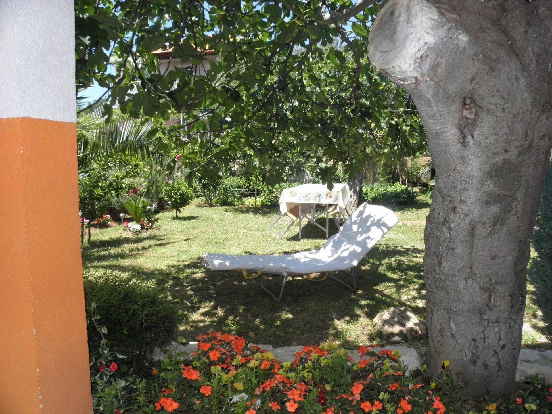 Apartment Zvone - 100 M From Sea *