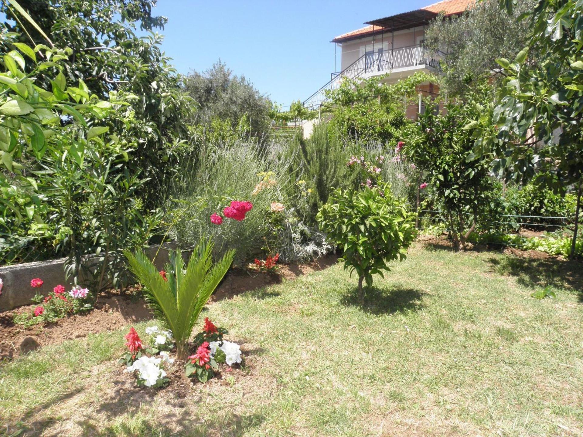 Apartament Zvone - 100 M From Sea *