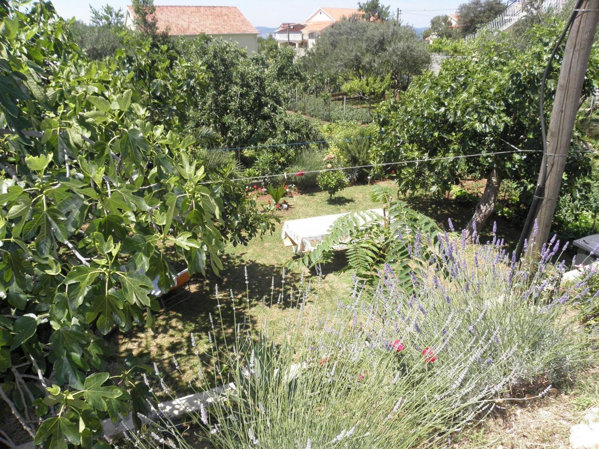 Zvone - 100 M From Sea Apartament